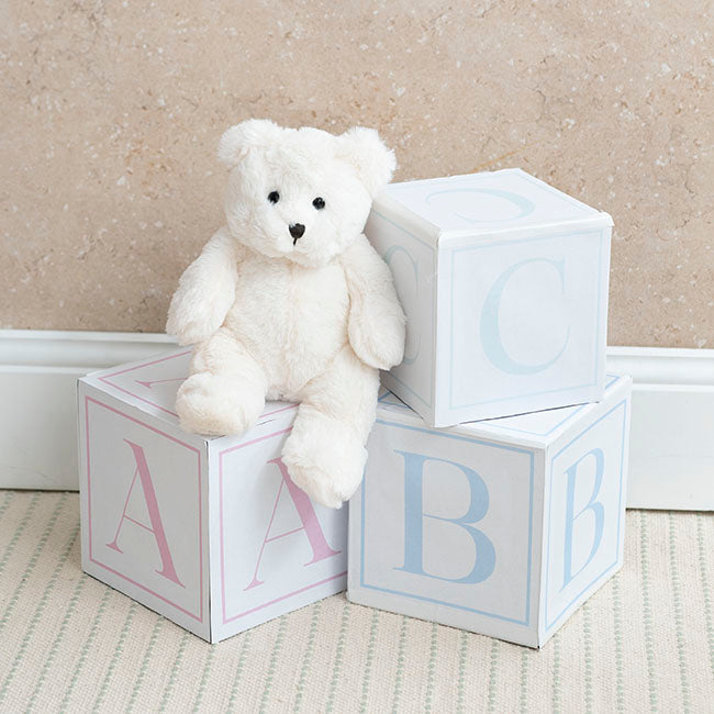 White Teddy Bear
