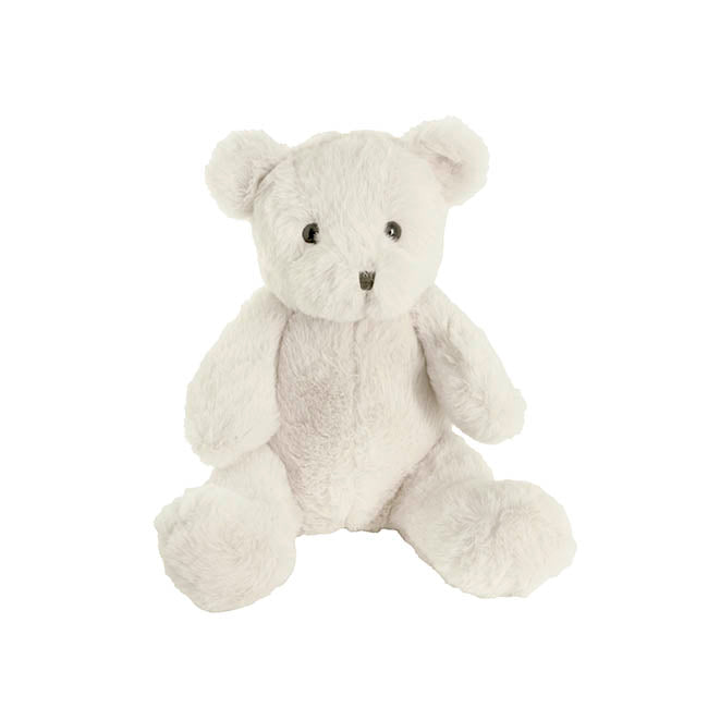 White Teddy Bear