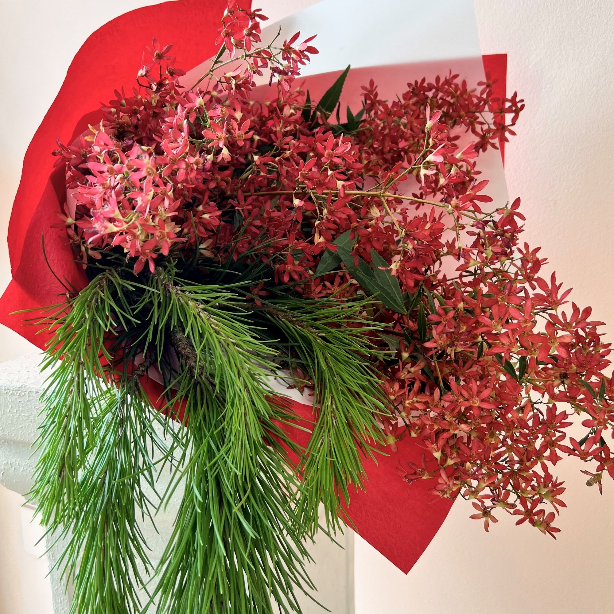 Christmas bush and festive greens