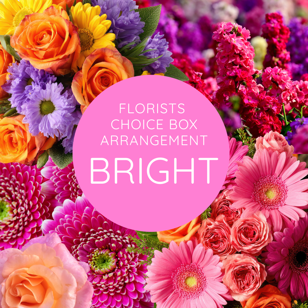 Bright box