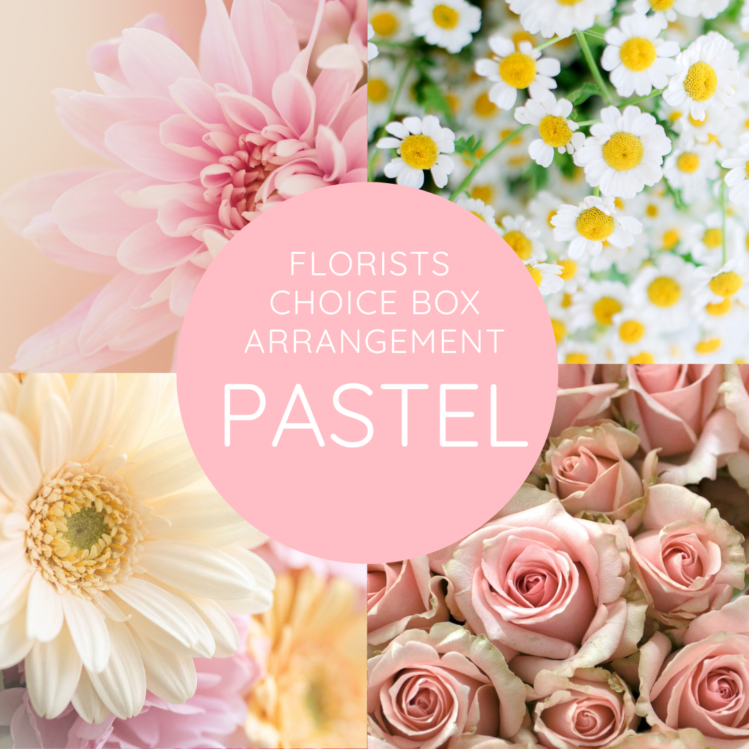 Pastel box
