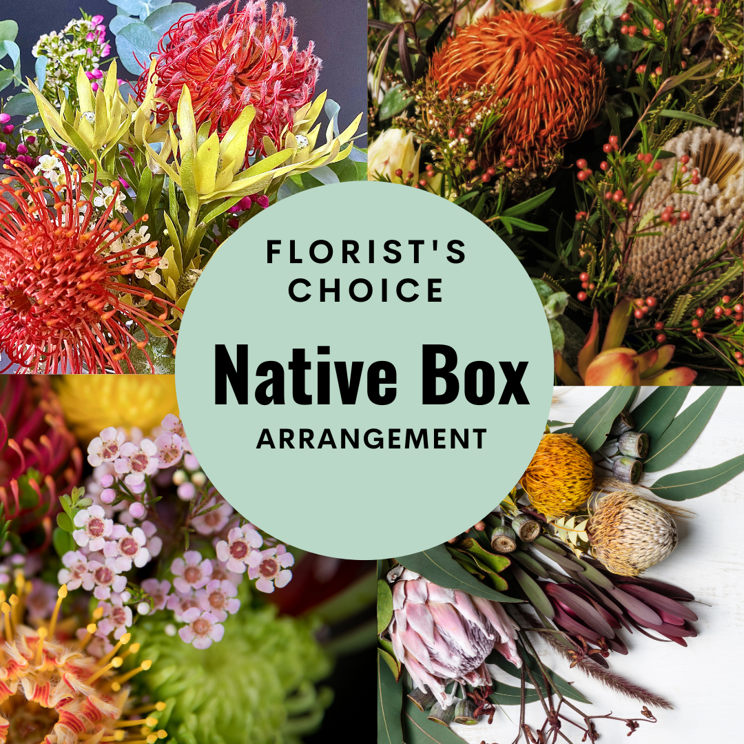 Florists Choice Native Arrangement