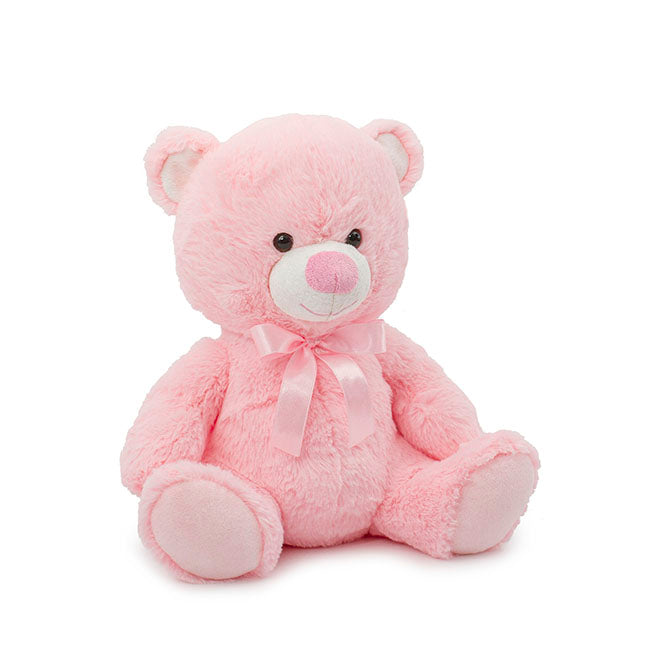 Pink Teddy