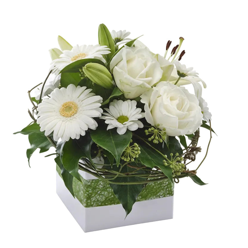 Bribie -  Absolutely Beautiful Flowers NSW