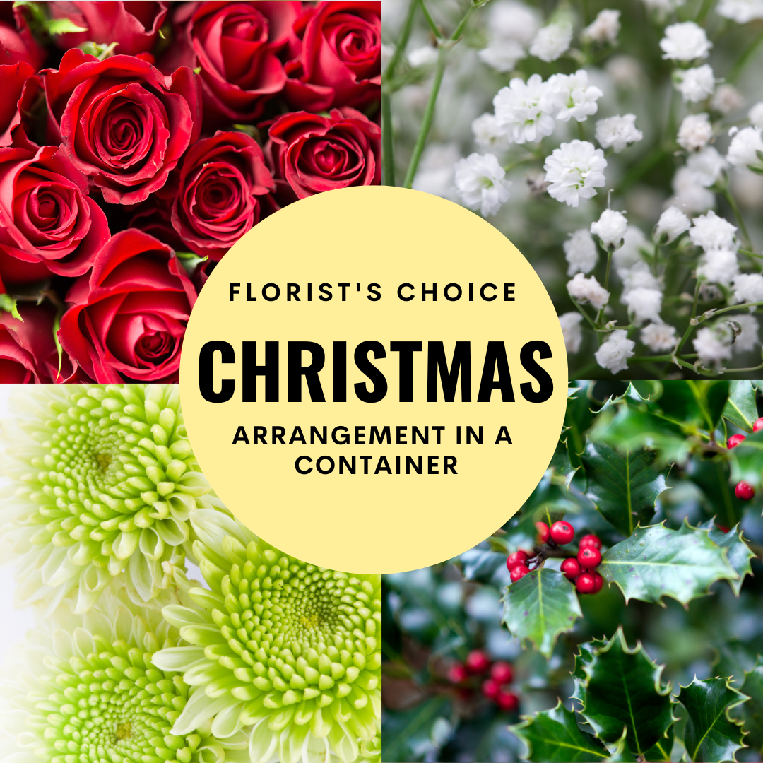 Christmas Arrangement